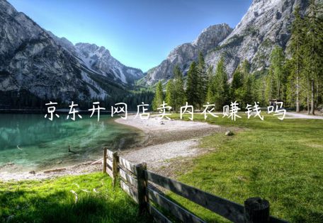 京东开网店卖内衣赚钱吗